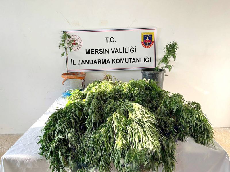 Uyuturucu madde satan 3 kii gzaltna alnd...