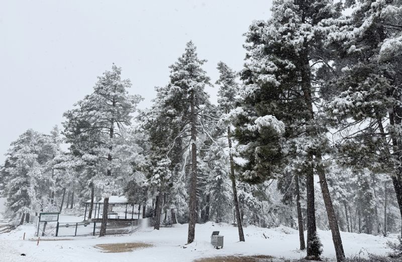 Mersin beyaza b�r�nd�...