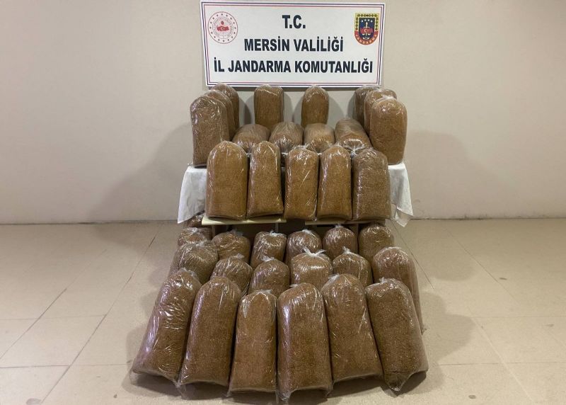 Jandarmadan kaak ttne sust...