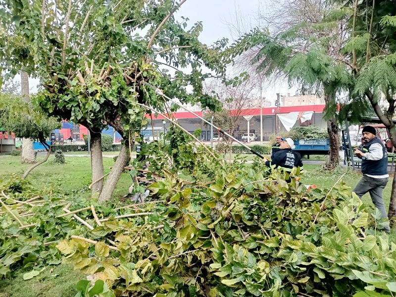 Akdenizde park, bahe ve yeil alanlar iekleniyor...
