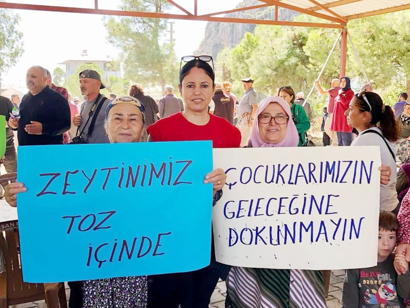 Dantaydan Anamura gzel haber...