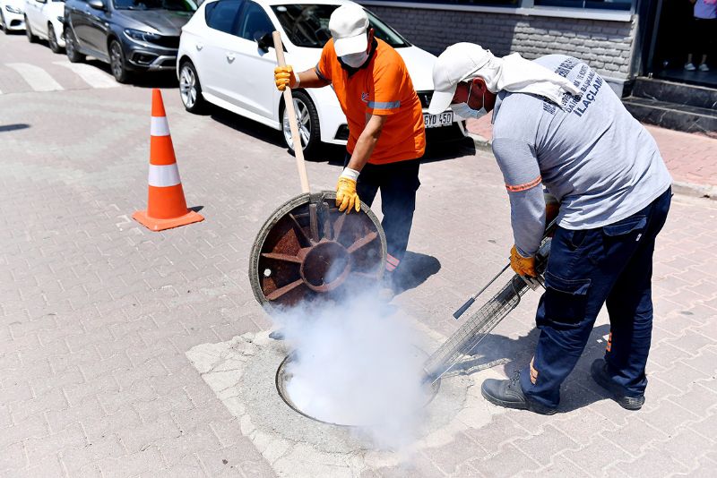 Sivrisinek saldrs kapda!...