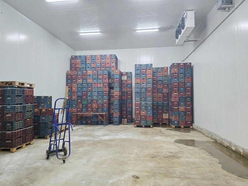 Limon depolar�na denetimler s�r�yor...