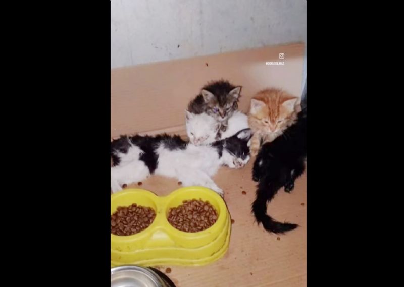 Tarsus Belediyesinden barnak aklamas...
