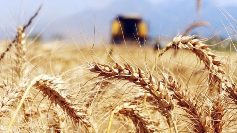 Tarm iin planlama ars!...