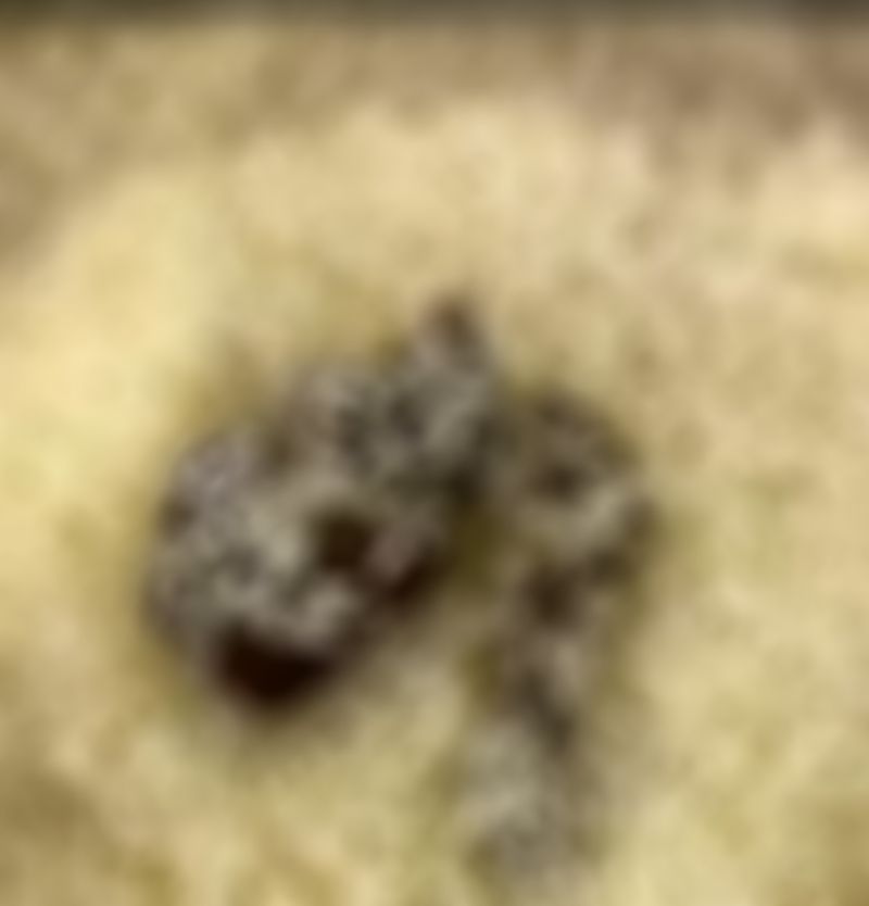 P�R�N�TE �OKE EDEN G�R�NT�: 52 B�N TL CEZA KES�LD�...