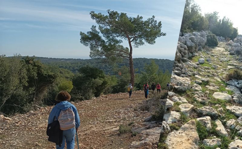 Trkmenuandaki antik yol 1. Arkeolojik Sit Alan olarak tescil edildi...