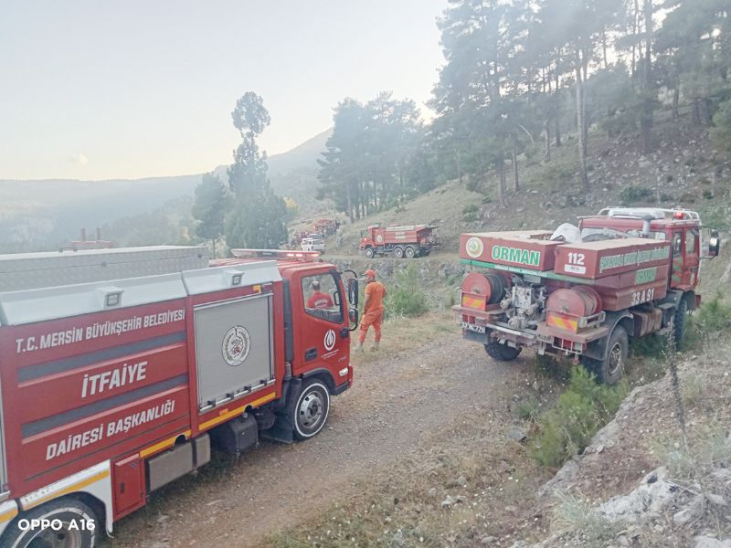 Tarsus’ta orman yang�n� k�sa s�rede s�nd�r�ld�...