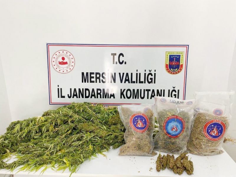 Jandarmadan uyuturucu operasyonu...