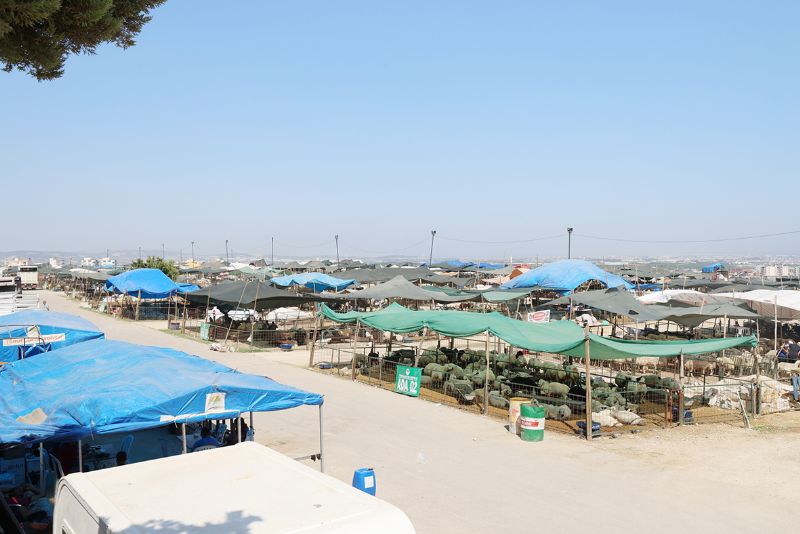 Mersin�in en b�y�k  kurban sat�� alan� Toroslar�da...