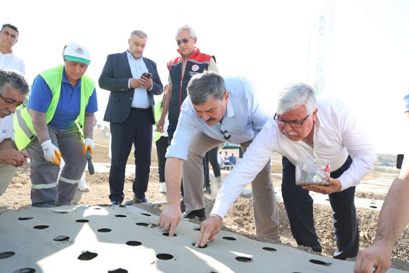 Yeni sezonun ilk salep yumrular toprakla bulutu...