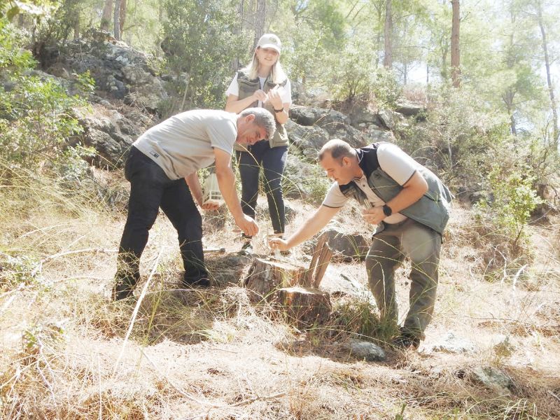 Dumans�z yang�na kar��  biyolojik m�cadeleyi ba�lad�...
