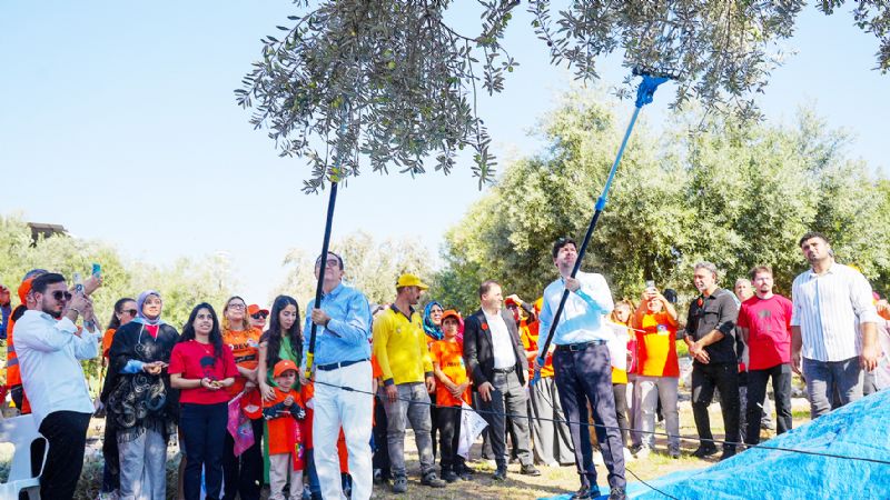 Tarsus’tan LSEV ile zeytin hasad...