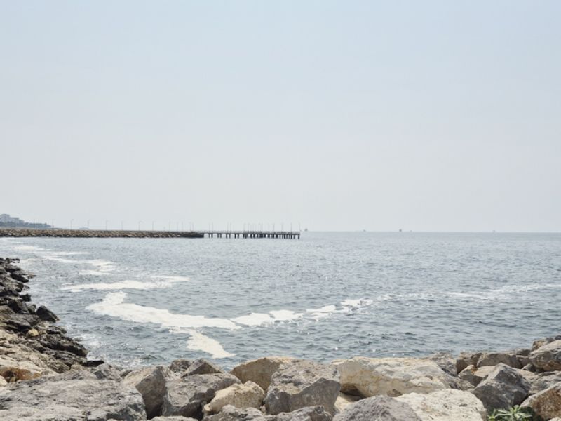 Mersin denizindeki  kirlilik �rk�t�c�!...