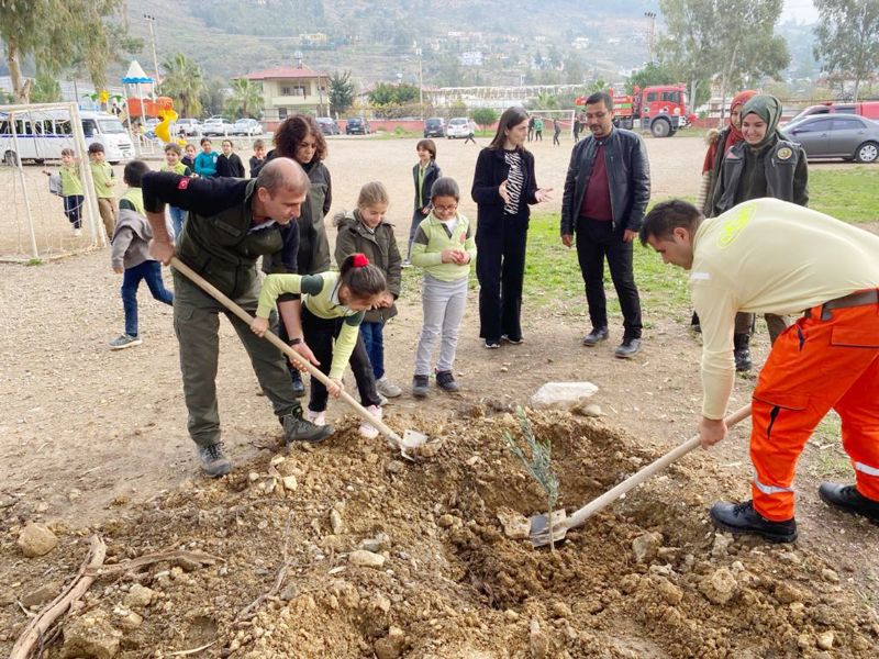 Okullarn bahelerine zeytin fidan dikildi...