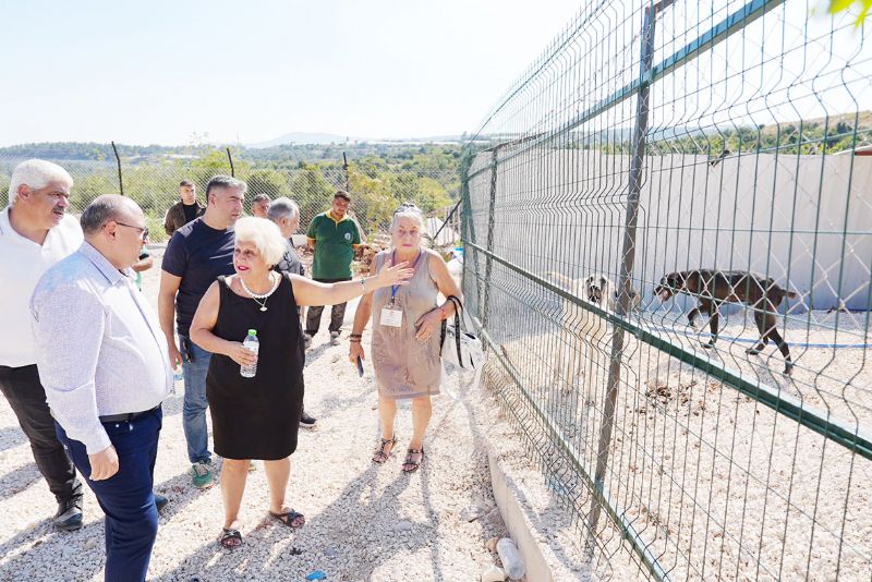 Hayvan haklar� temsilcilerinden Erdemli’de inceleme...