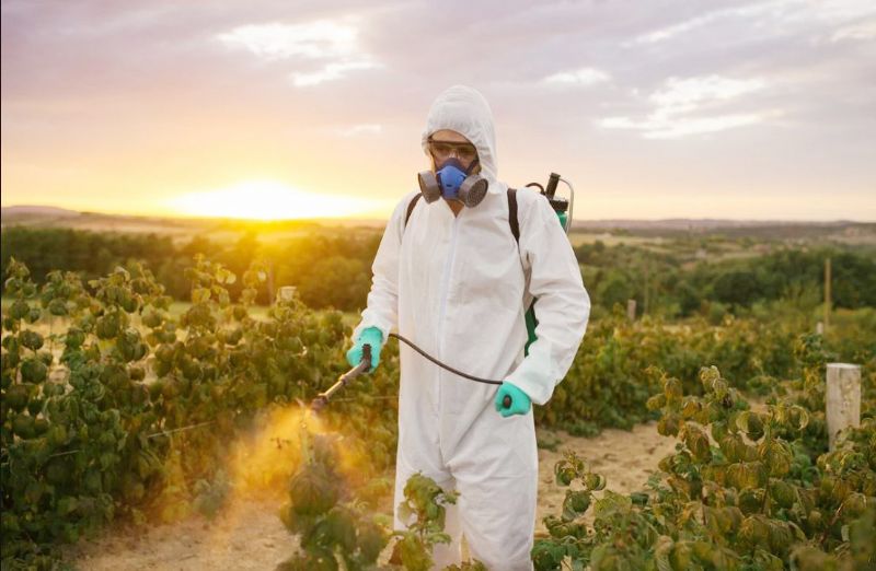 Uzmanlardan Mersin’e pestisit uyar�s�