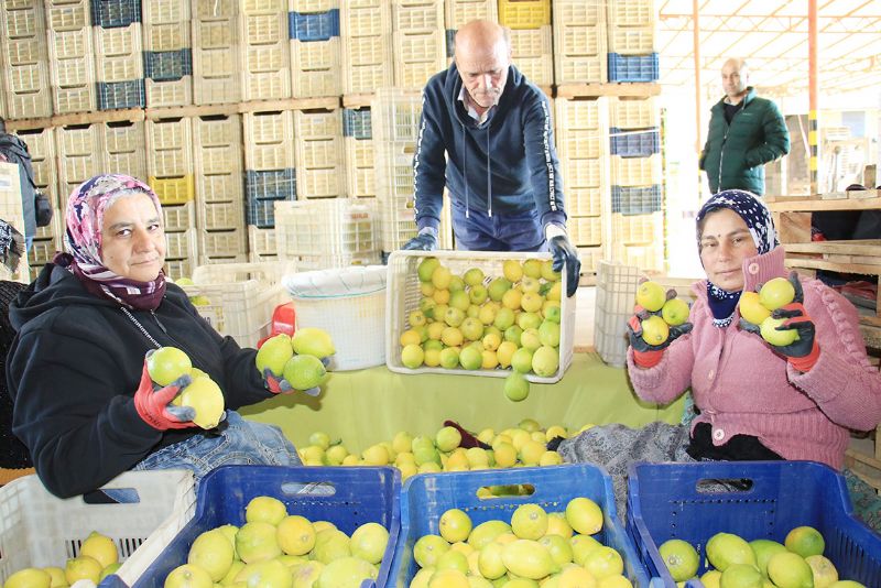 Hasattan paketlemeye her alanda kadnlar mesaide...