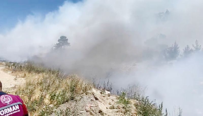 Mersinde orman yangnyla ilgili 1 kii gzaltna alnd...