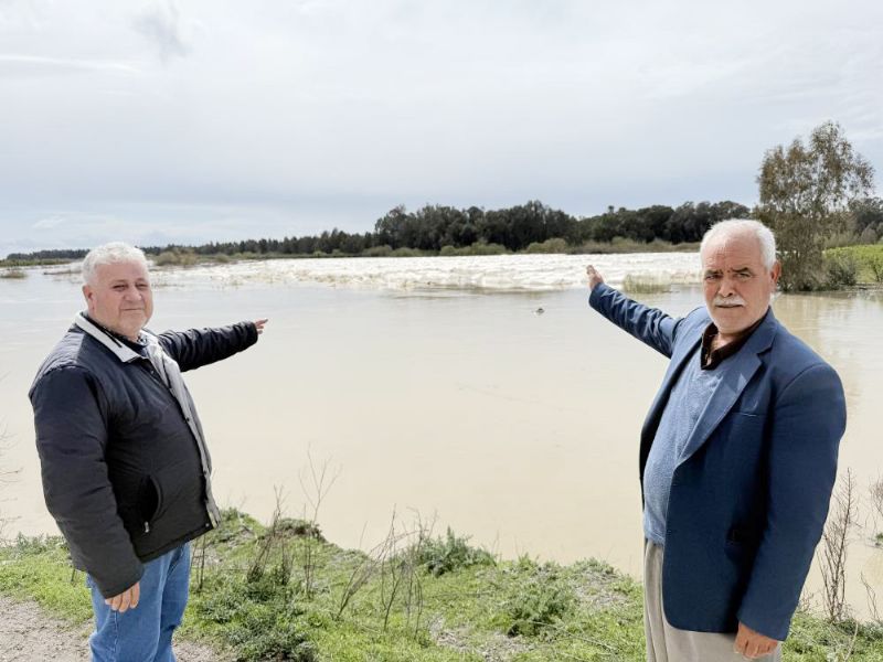 Tarsus DS� �ubesi istiyor