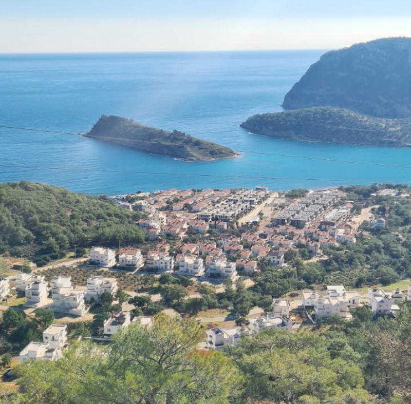 Akdeniz Foklar iin  Tisanda ki katliama tepki!...