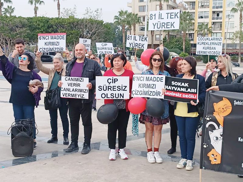 Hayvanseverler meydanlara indi...