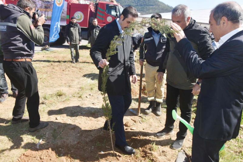 Ormanclk Gnn fidan dikerek kutladlar...