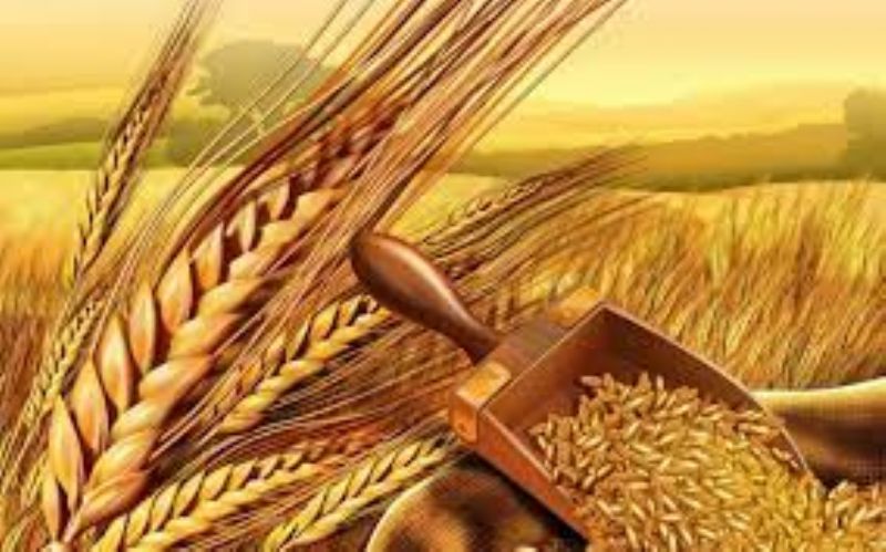 �ift�i yine h�srana u�rad�...