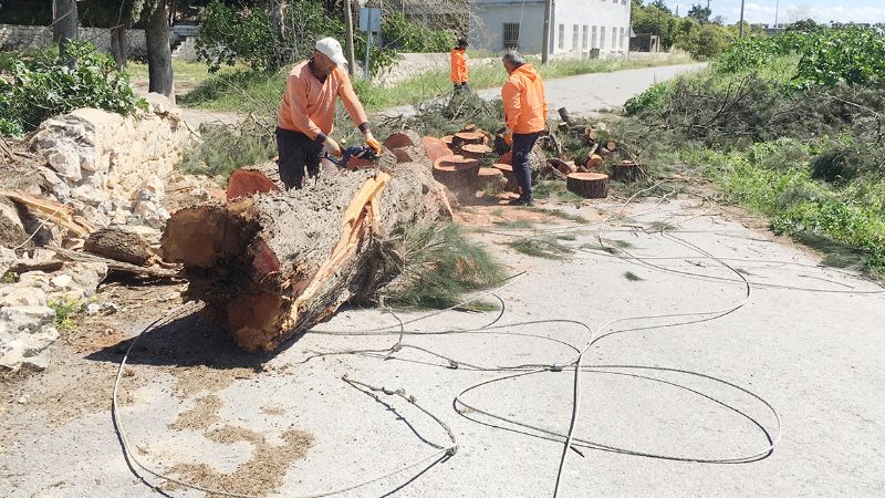 Rzgarda devrilen asrlk aa yolu ulama kapatt...
