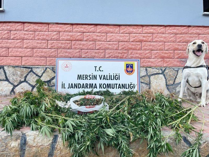 Uyuturucu madde kullanan ve satan 2 pheli yakaland...