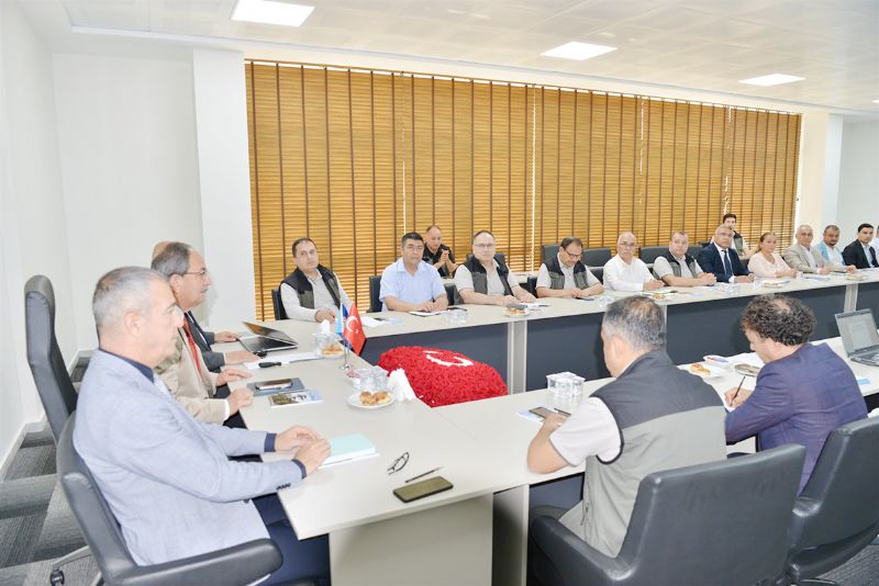 Aratrmaclar ynn  Mersin ormanlarna evirdi...