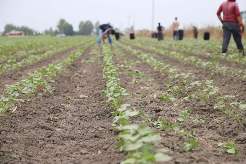 �Borcun varsa kredi yok� anlay��� tar�ma darbedir!...