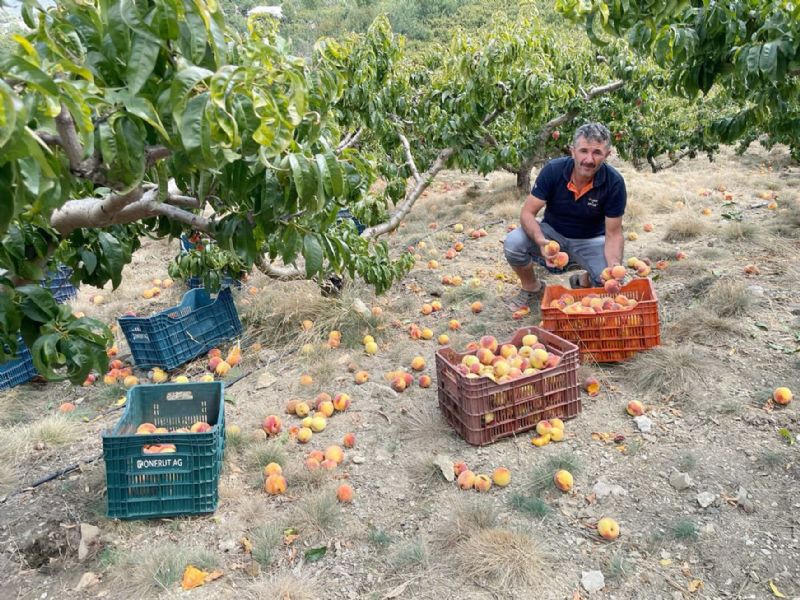Mersinli �eftali �reticisi isyanda!...