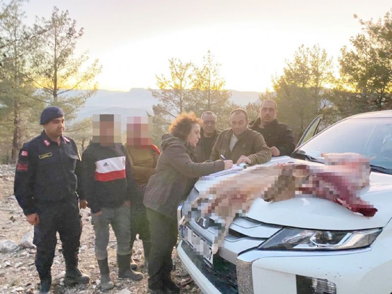 Mersin’de yaban keisi avlayan 2 ahsa 673 bin TL ceza kesildi...