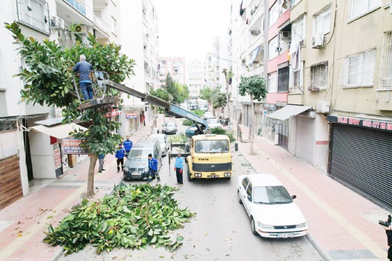 Akdeniz�de a�a�lara k�� bak�m�...