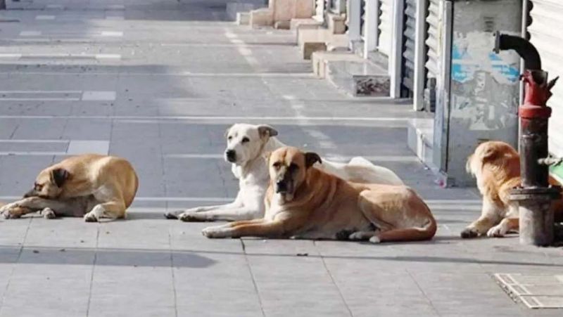 �G�venli sokaklar i�in iktidar niye sorumluluk alm�yor?�...