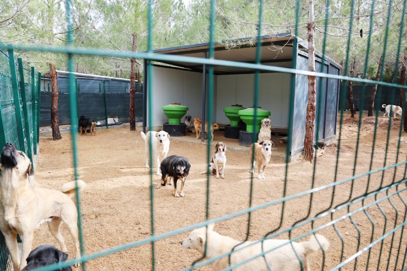 Bar�naklar i�in belediyelere g�rev verildi, b�t�e verilmedi...