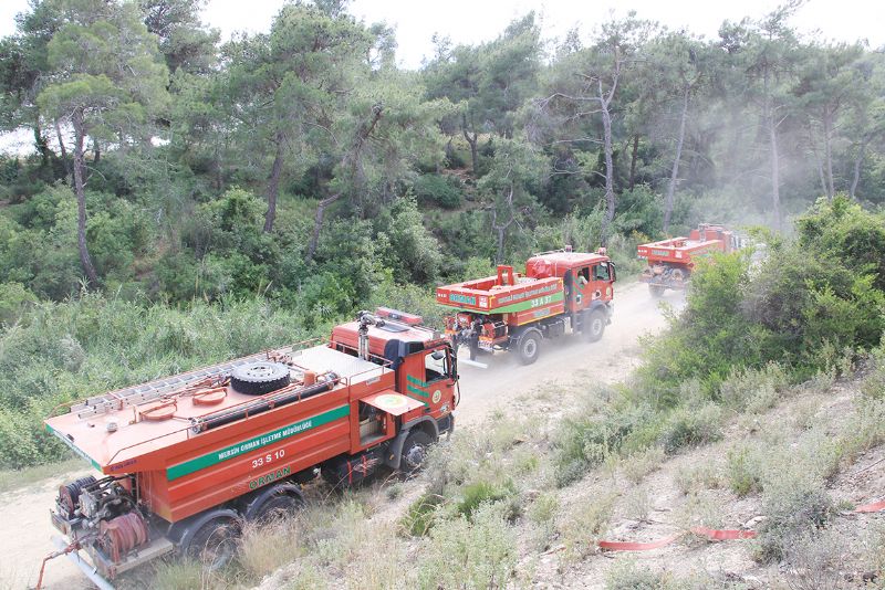 Artan s�caklar orman  yang�nlar�na neden oluyor!...