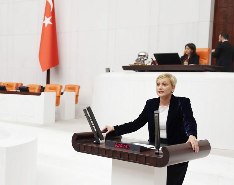 Nadir toprak elementleri TBMM gndeminde...