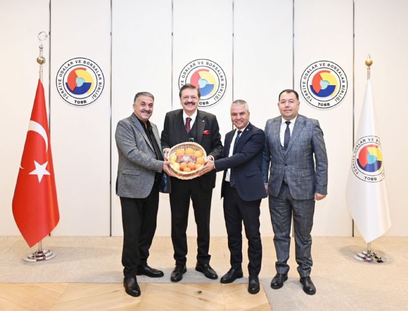 Erdemli ve Silifkeden TOBBa  limona DFF destei ars...