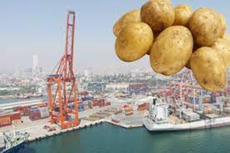 Mersine gelen 850 ton patates, virsl olduu gerekesiyle iade edildi...