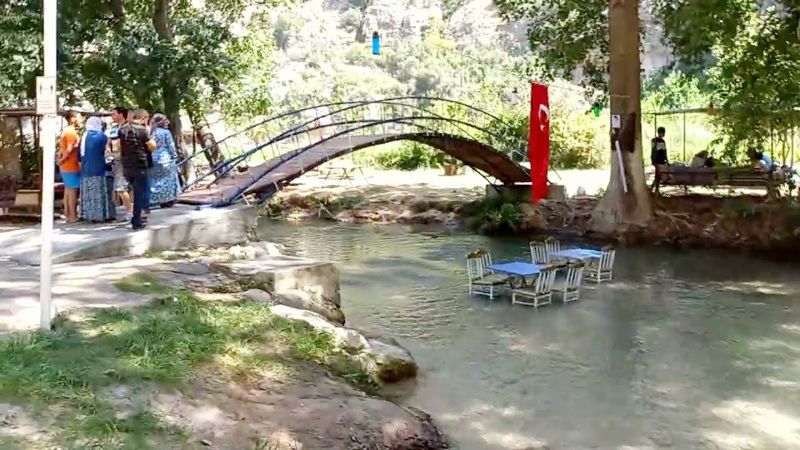 Bal ormanlar artyor,  eko turizm geliiyor...