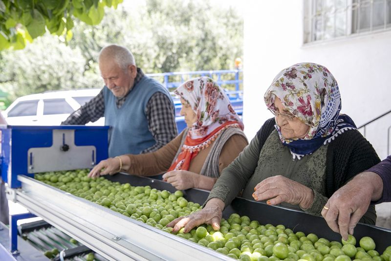 Mersin tar�m�  ihracat i�in te�vik istiyor!...