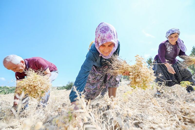 Kadn iftilere; SGK prim  destei ve ypranma pay verilsin...