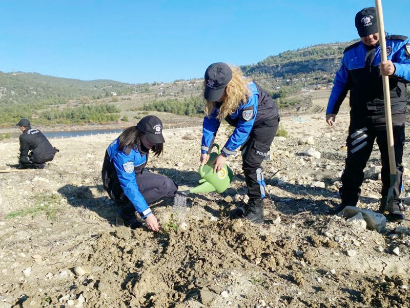 Mersinde 2 bin fidan toprakla buluturuldu...