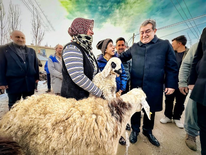 Afet maduru hayvanclara 5 ay sonra destek...