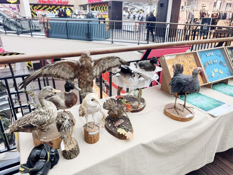 Mersinlilere AVM�de sulak alan bilgilendirmesi