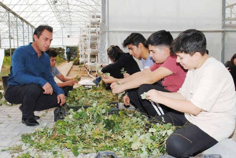 Tarmn gelecei genlere bal!...