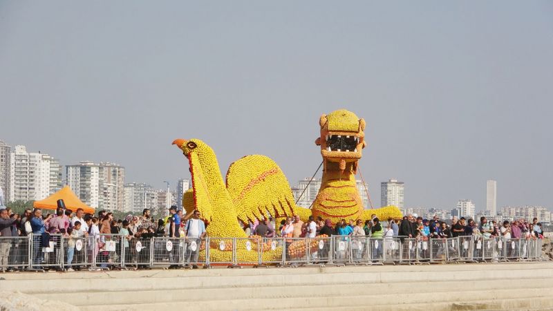 Narenciye  Festivali iptal!...