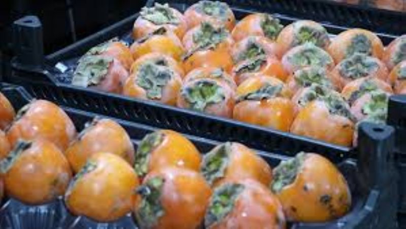 Cennet hurmas ithalat Mersinli reticiyi perian etti...